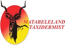Matabeleland Taxidermist